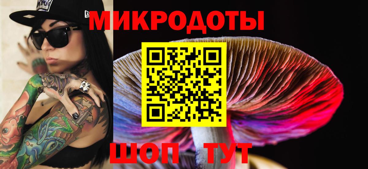 Галлюциногенные грибы Psilocybe  закладки  Буйнакск  Вход с VPN  Псилоцибиновые грибы мухоморы 